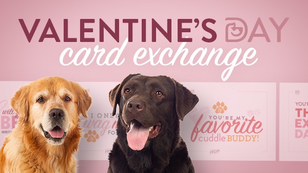 Happy February, Pet Parents!