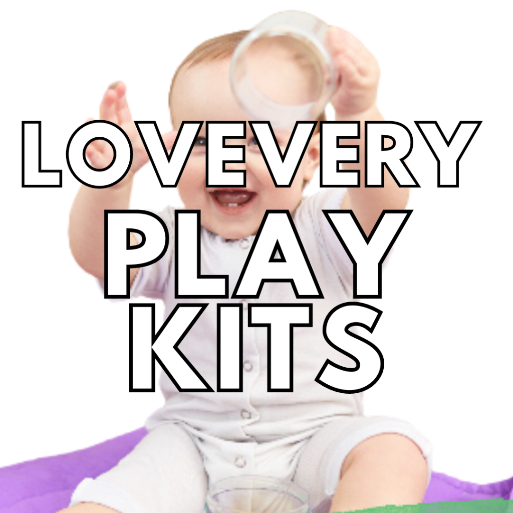 Lovevery Play Kits