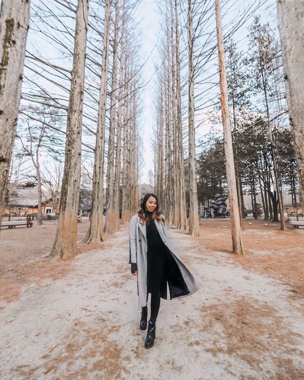Nami Island Tours