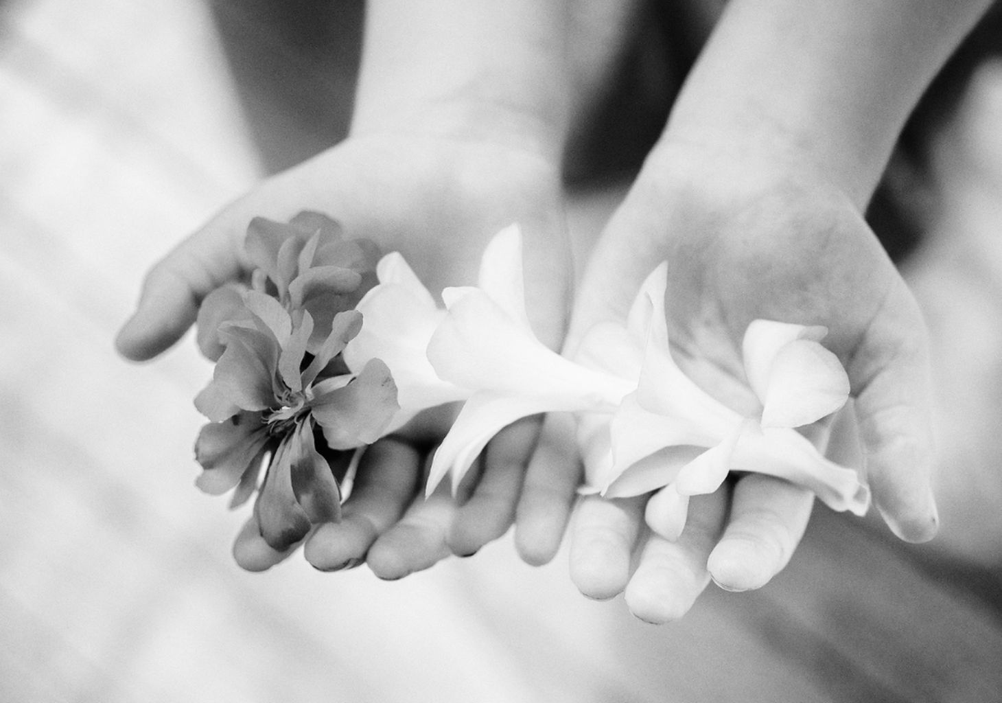 Adrian Malloch Photography Website