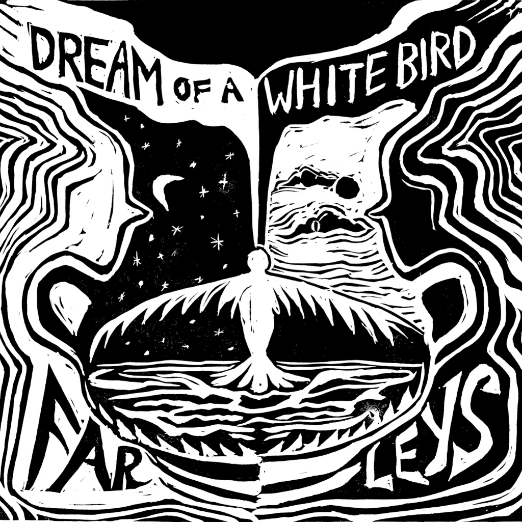 Dream of a White Bird (apple music)