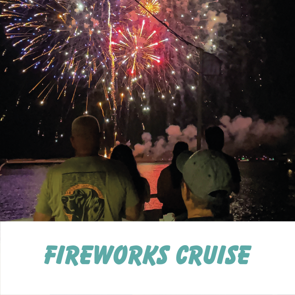 Fireworks Cruise