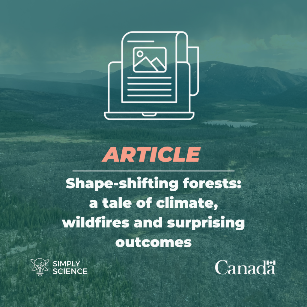 Shape-shifting forests: a tale of climate, wildfires and surprising outcomes