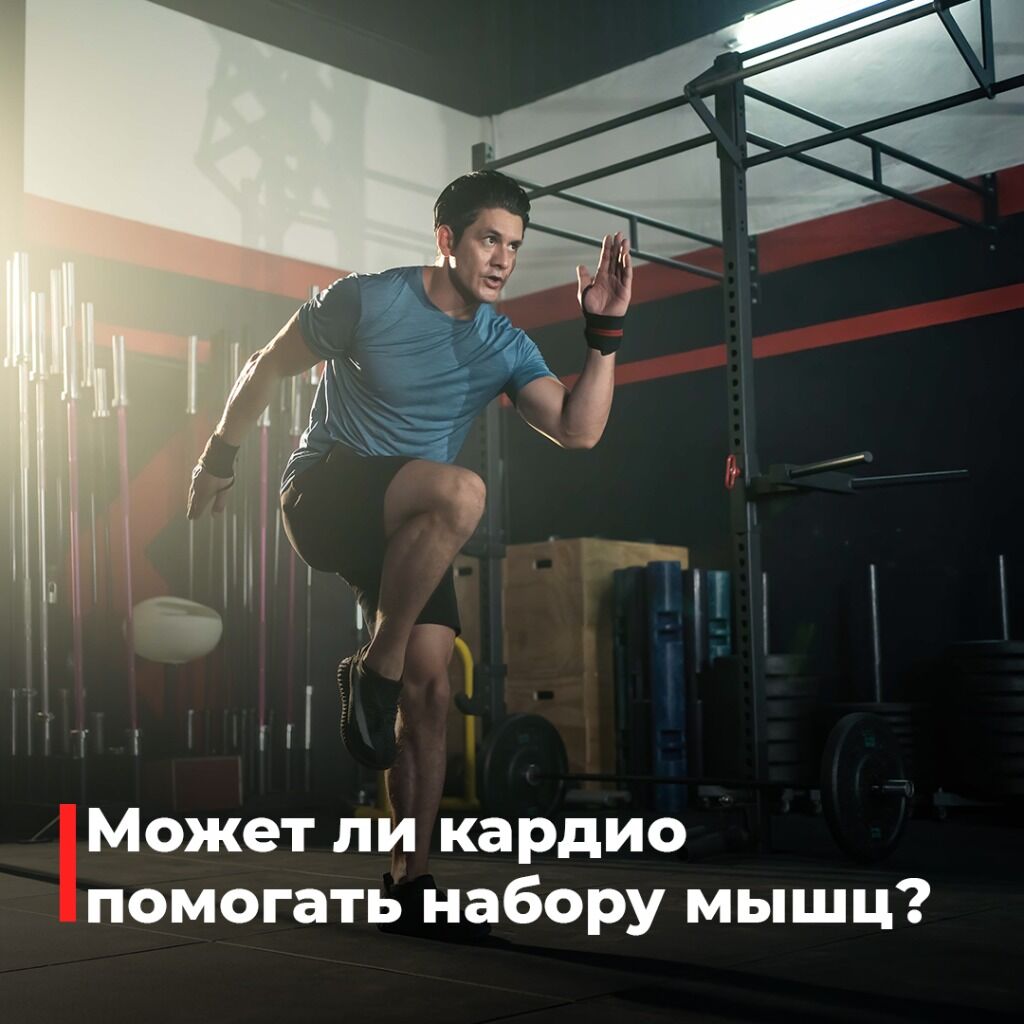 Статья