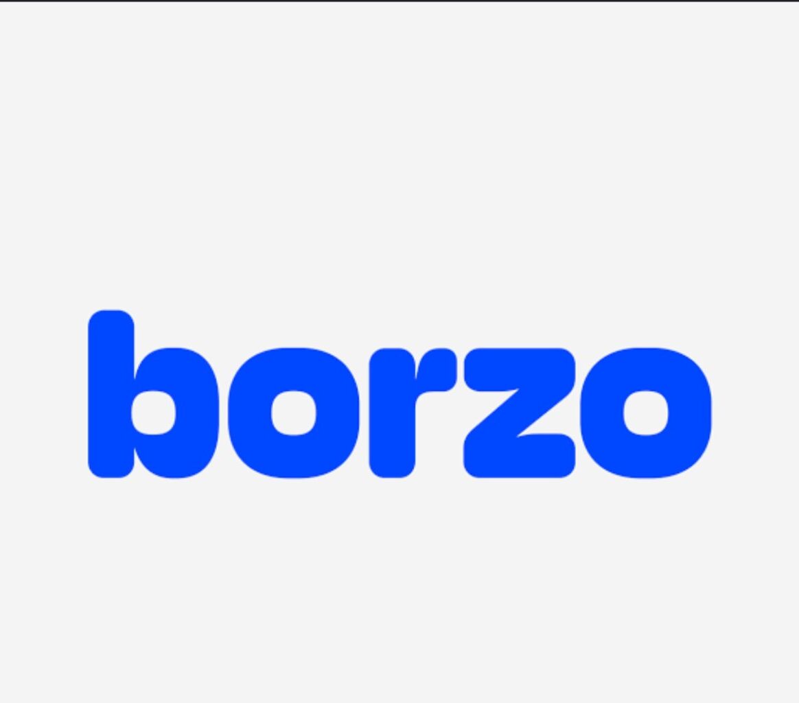 Borzo coupon code : LOVE3N
