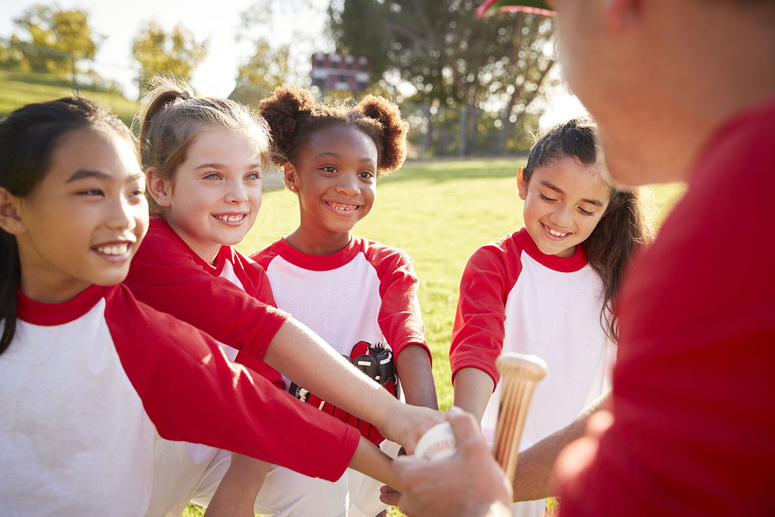 Introducing our New School Toolkit! 