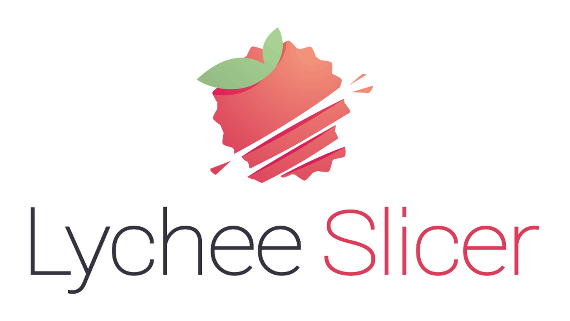 Download Lychee Slicer
