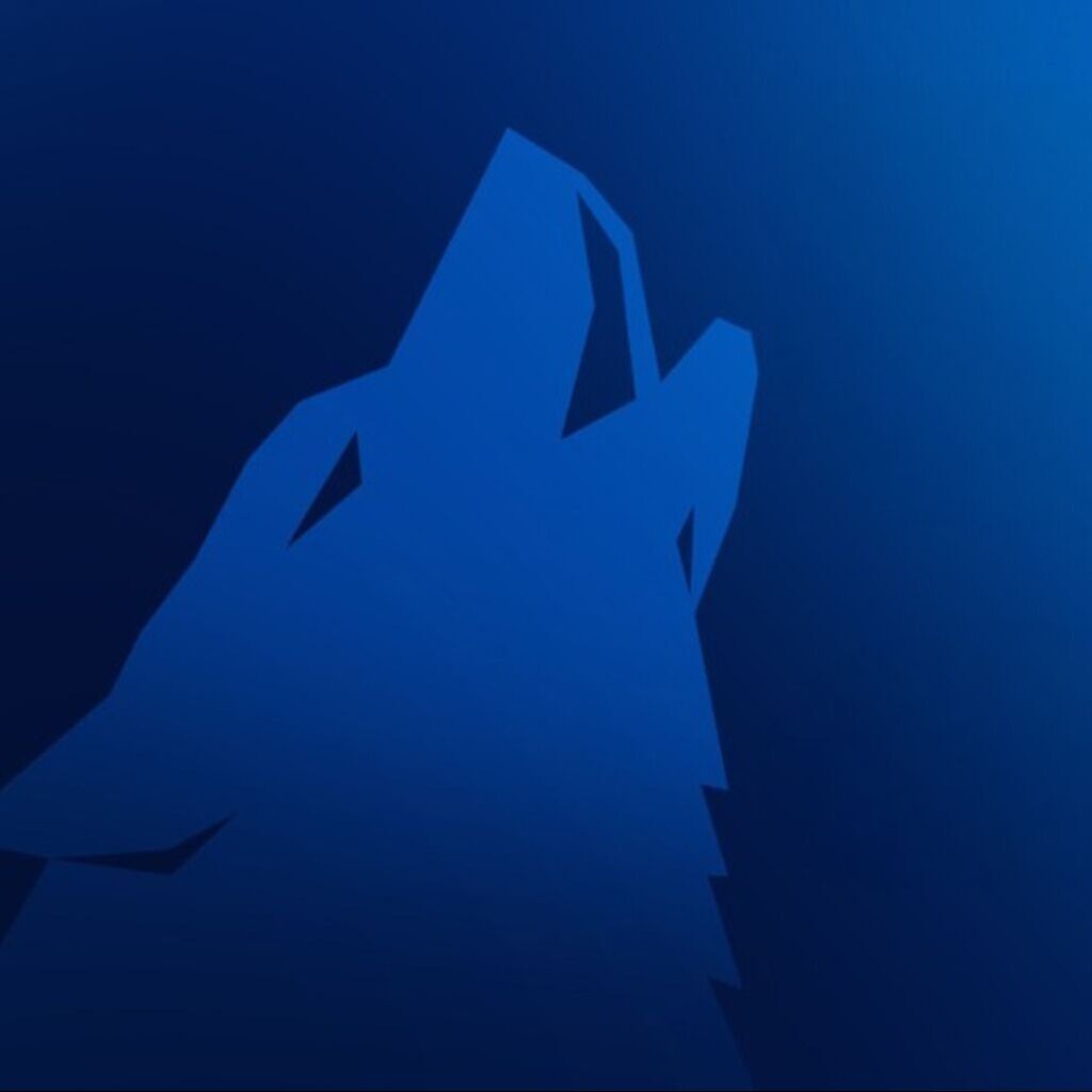 Artikel: Arctic Wolf Partner