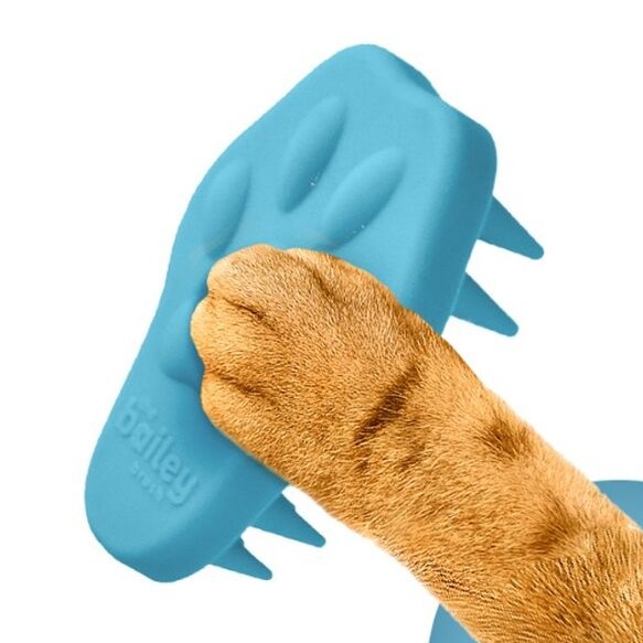 Shop Bailey Brush