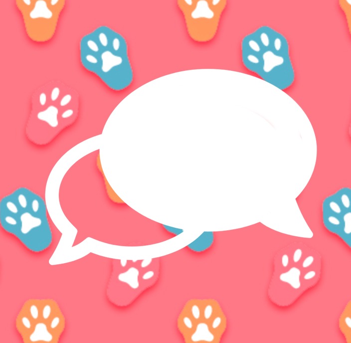 Bailey Cat Forums