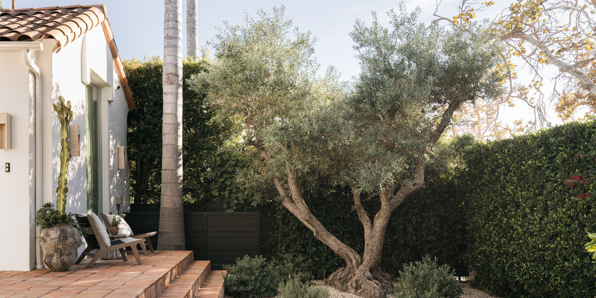 [ SUNSET ] This Is Your Sign to Rip out Your Concrete Backyard and Turn It into a Lush Retreat