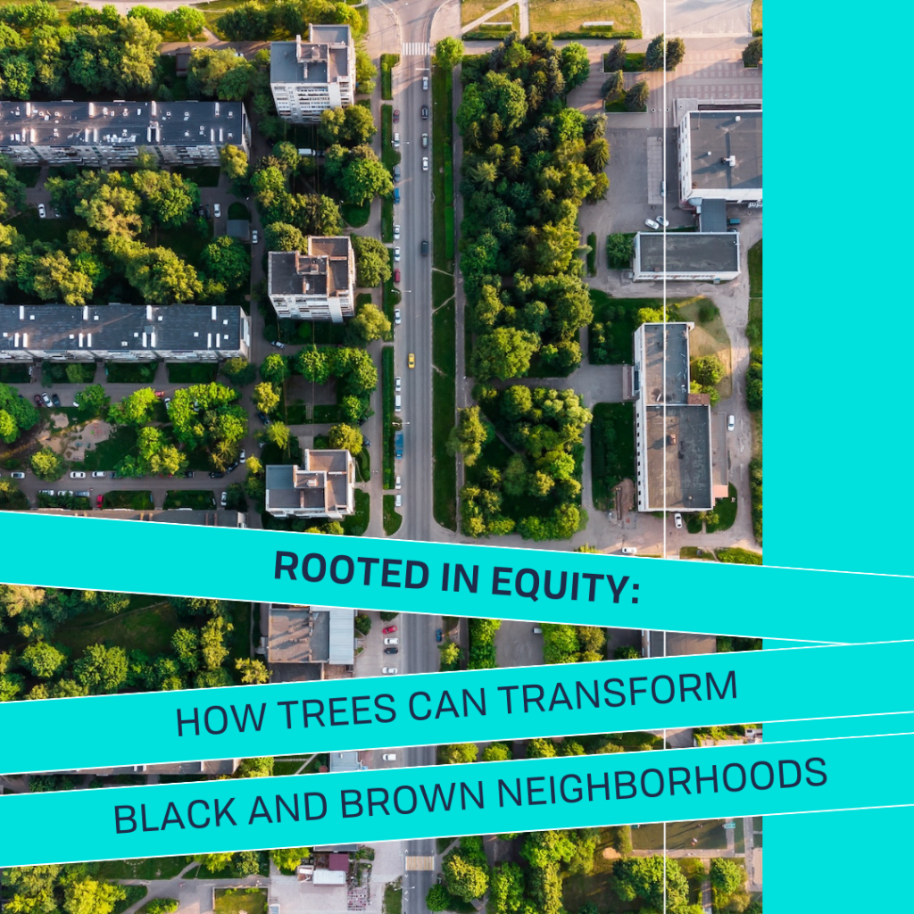  ROOTED IN EQUITY: HOW TREES CAN TRANSFORM BLACK AND BROWN NEIGHBORHOODS