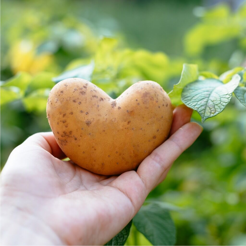 National Heart Health Month