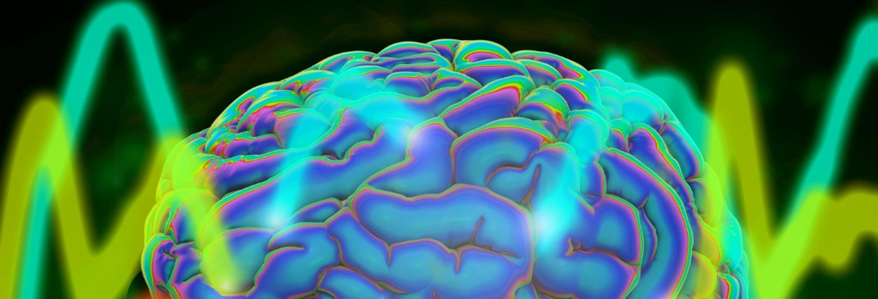 Study reveals a universal pattern of brain wave frequencies