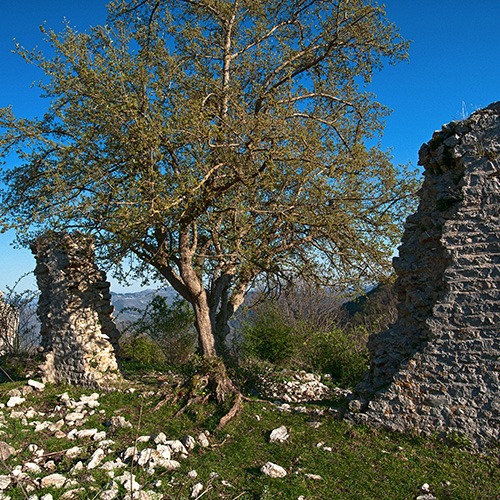 Alla scoperta di Poggio Runci
