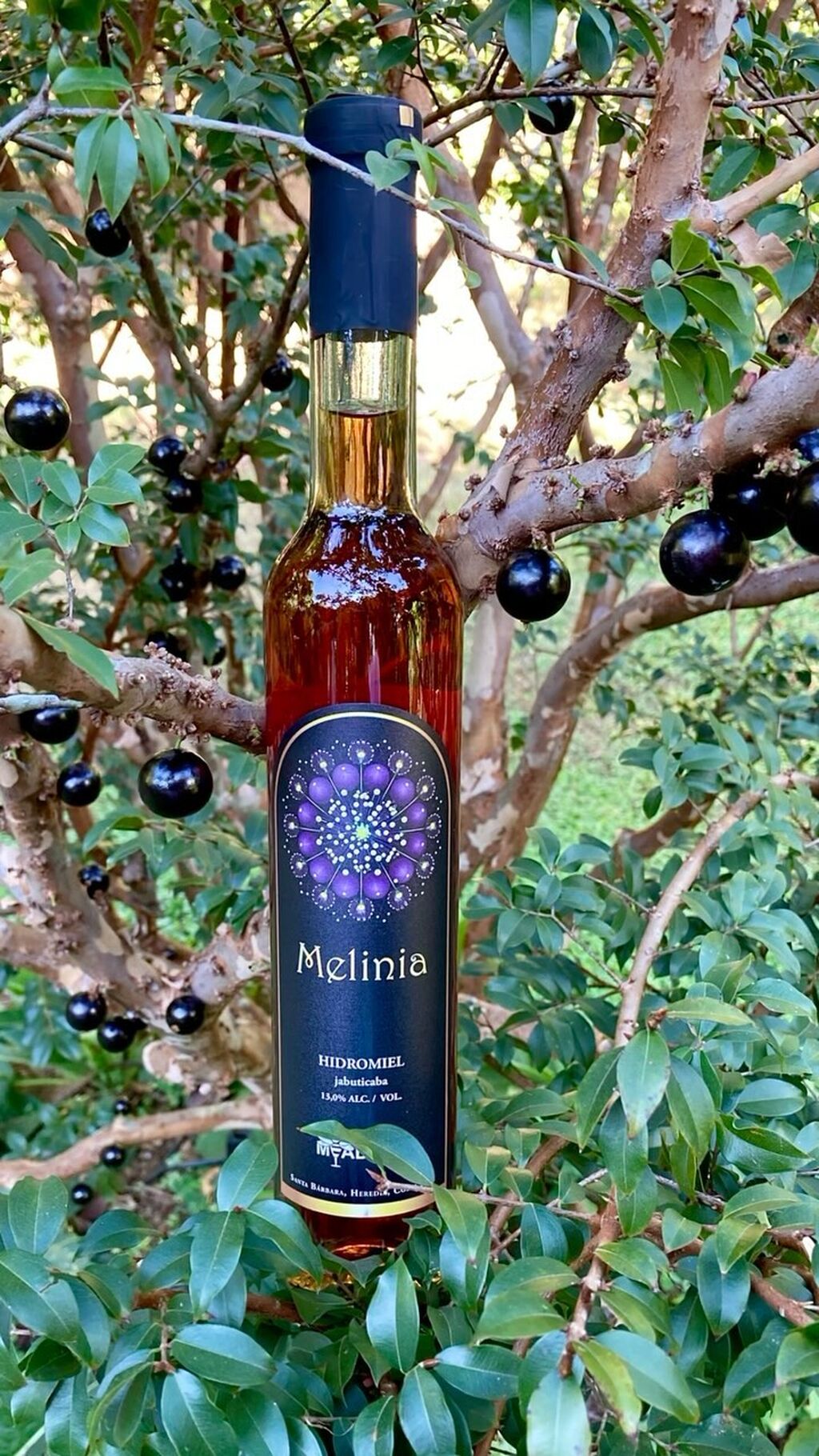 &iexcl;D&eacute;jate seducir por el inigualable sabor de Melinia! ✨