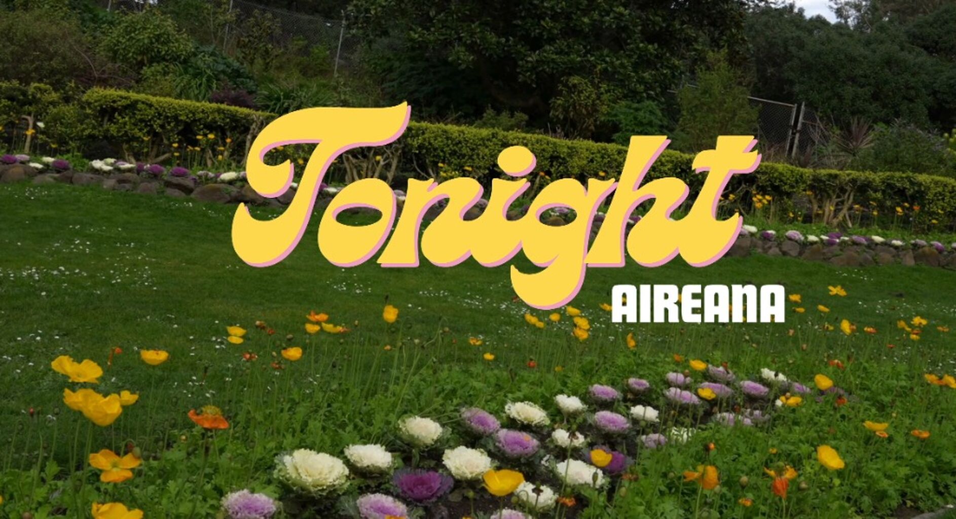 Watch my New Music Video Tonight