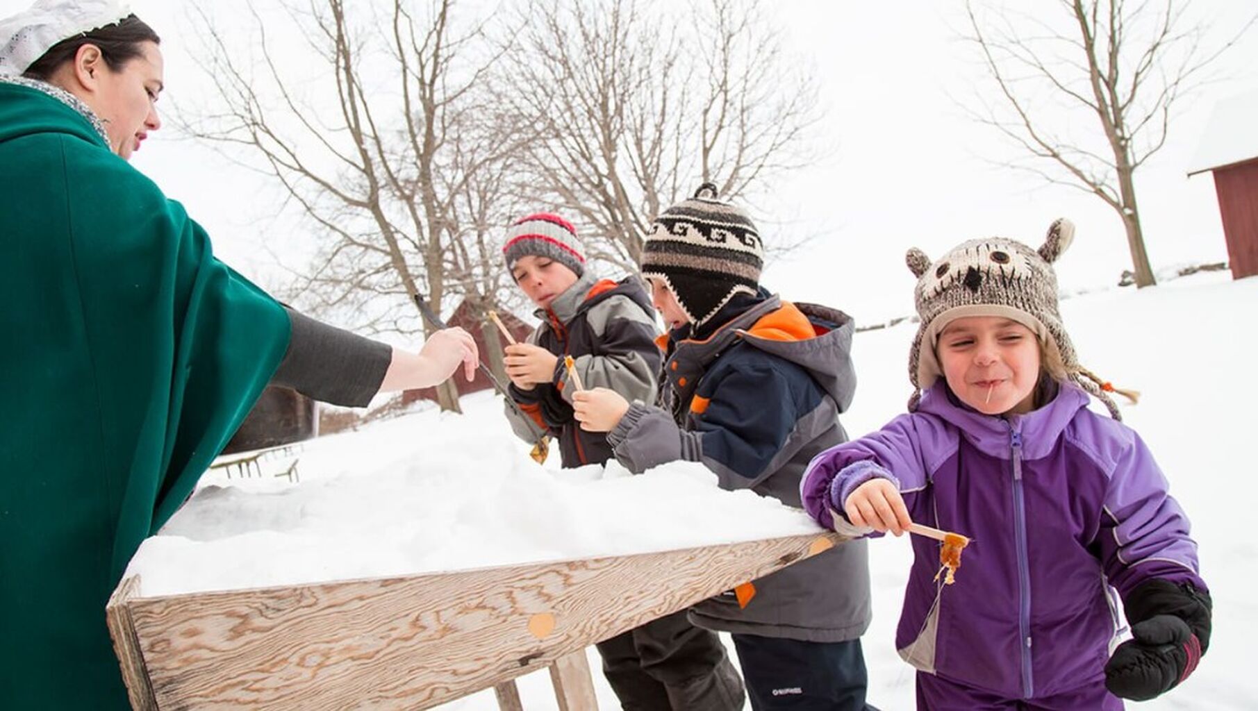 Maple Syrup season