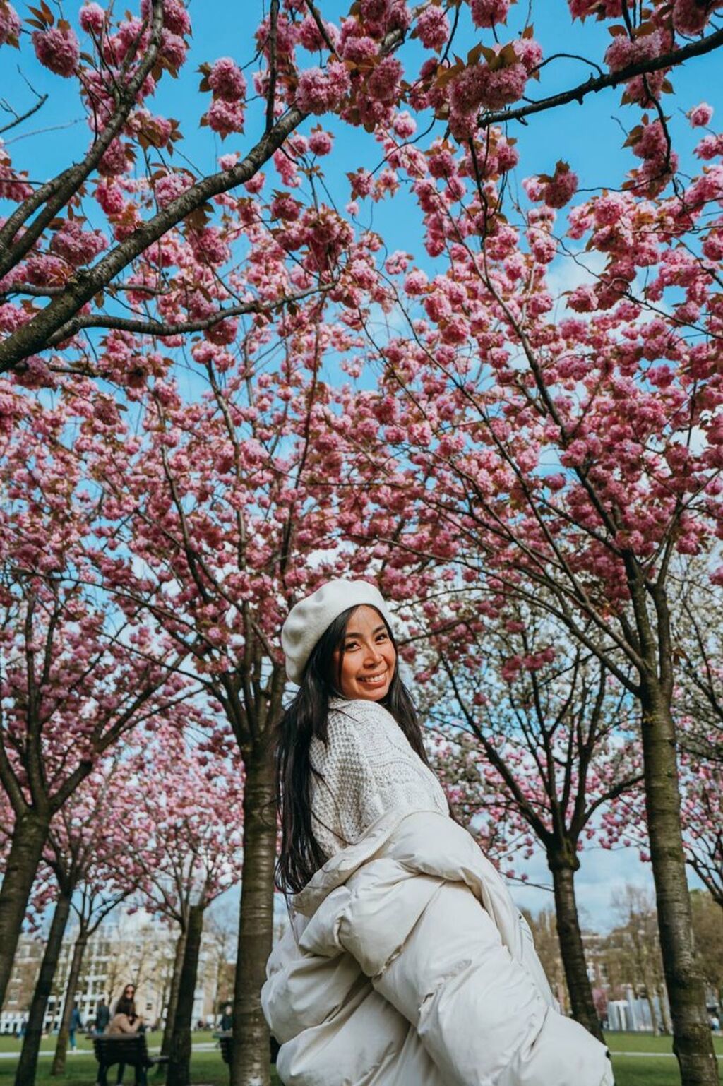 Cherry Blossom Festival Tour