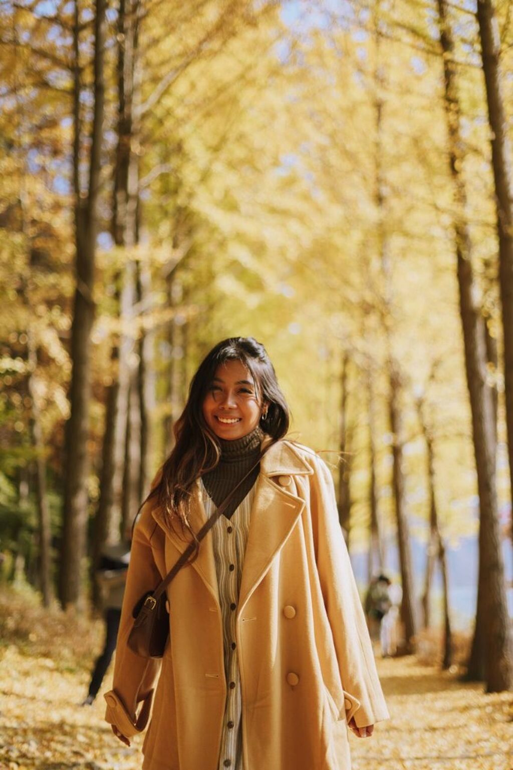 Nami Island Tour