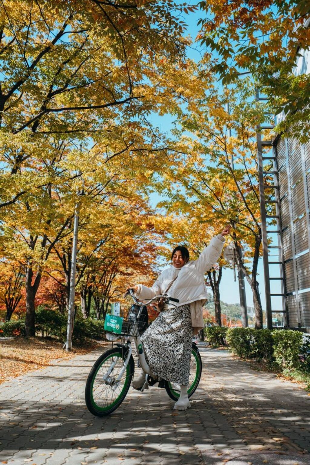 SEOUL RECOMMENDED TOURS & ACTIVITIES