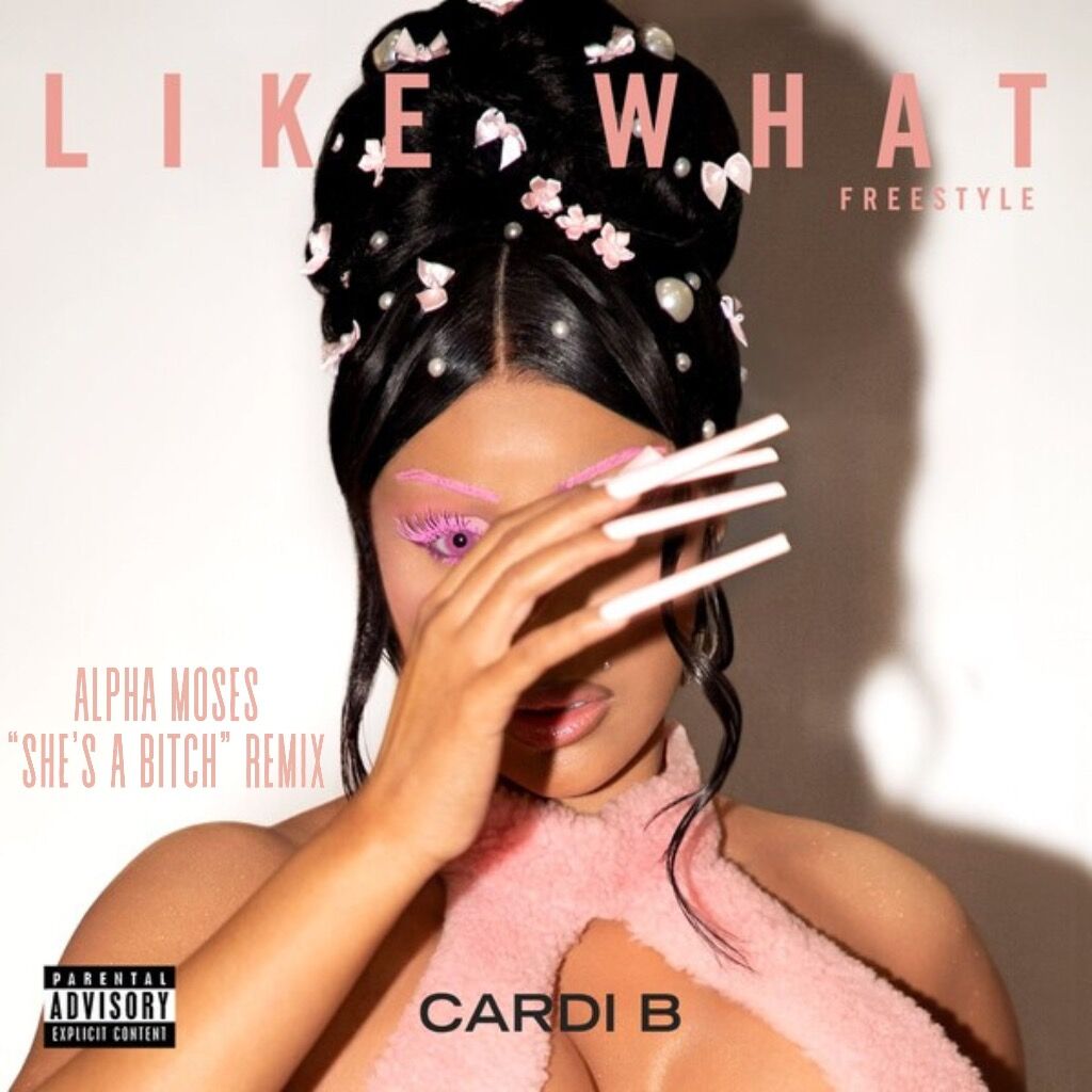 'Like What x She's A Bitch Remix'