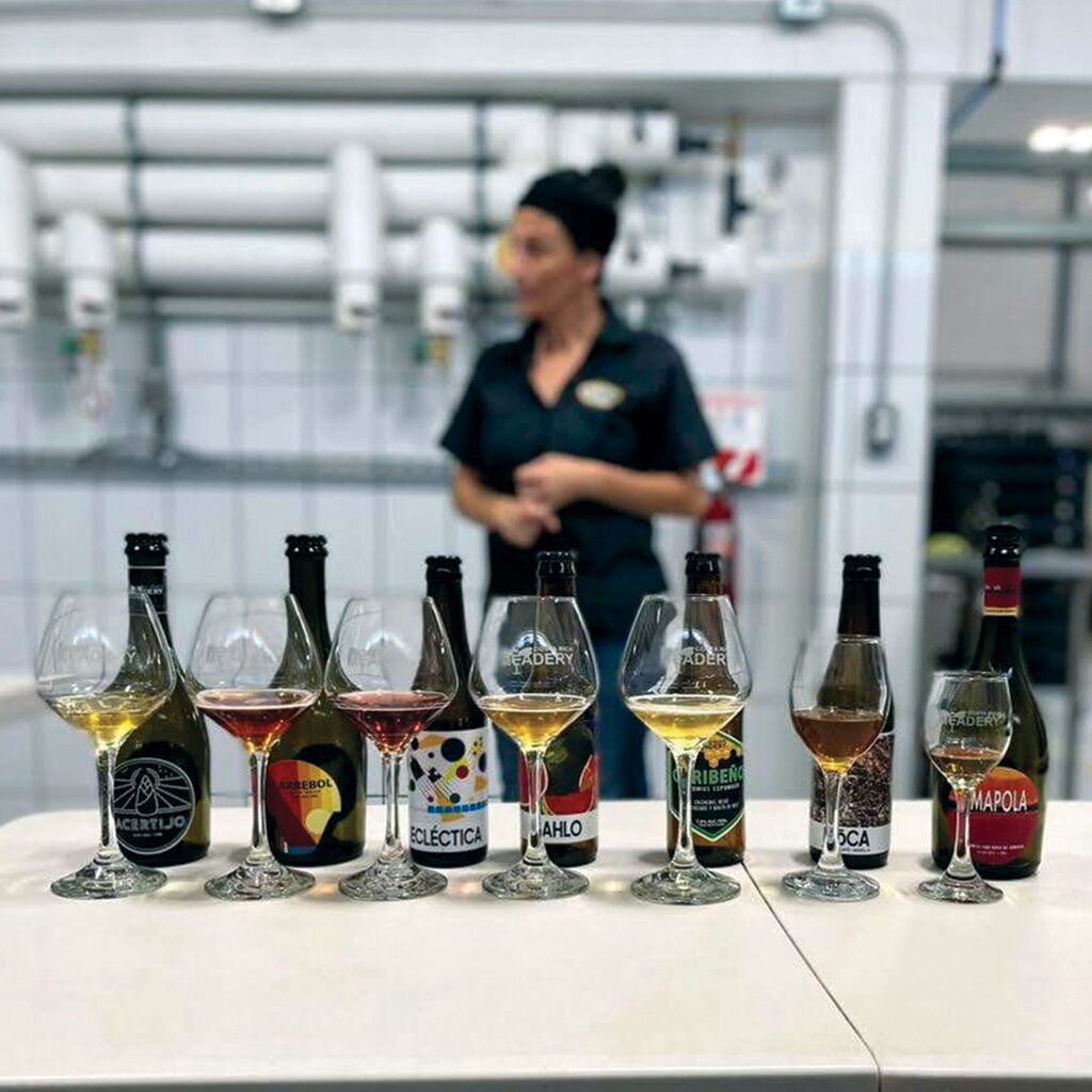 DEGUSTACI&Oacute;N GUIADA de Vino de Miel, Hidromiel Espumoso, y Cerveza Artesanal