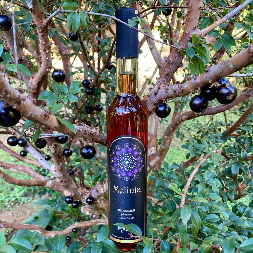 MELINIA - Vino de Miel Dulce - Costa Rica Meadery