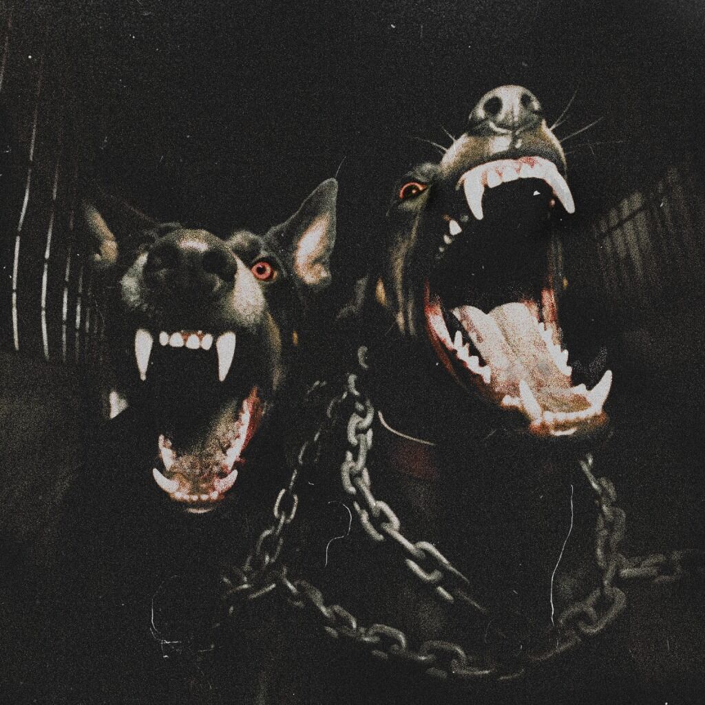 ANNIX X PHACE - DAWGS - OUT NOW ON NEKSUS SOUND