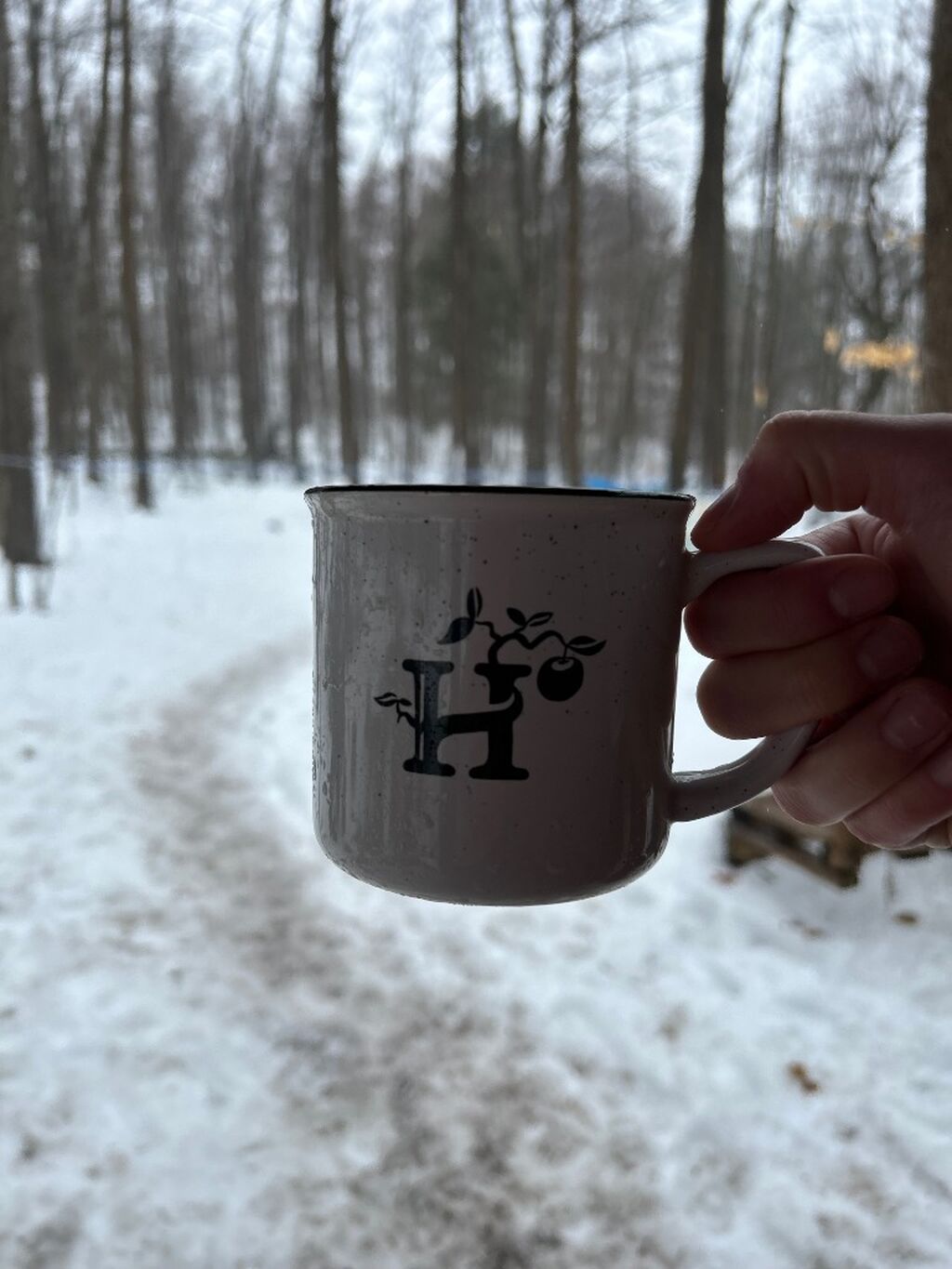 Secrets of Sugarbush 