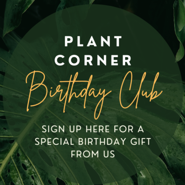 Birthday Club