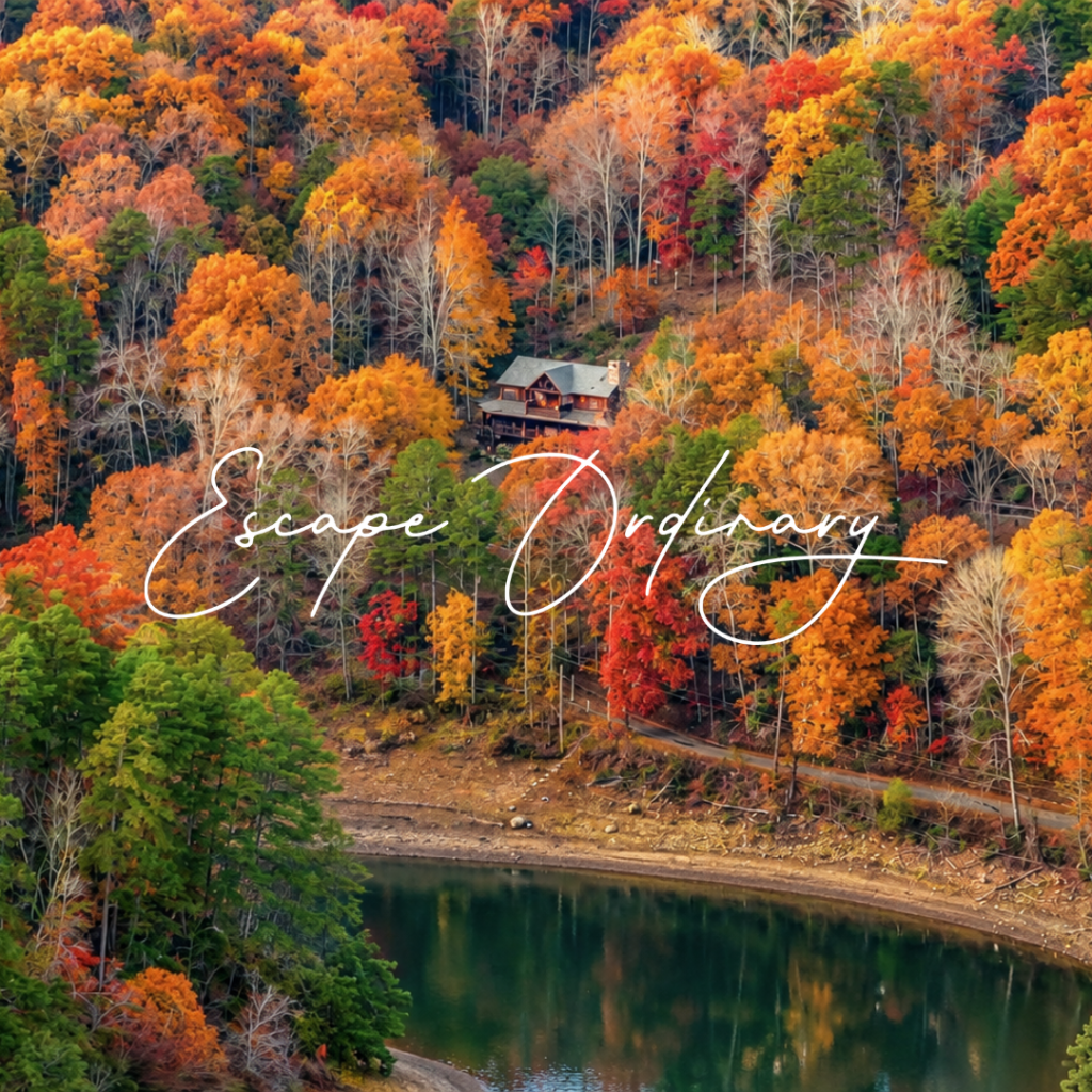 Luxury & Pet Friendly Cabin Rentals