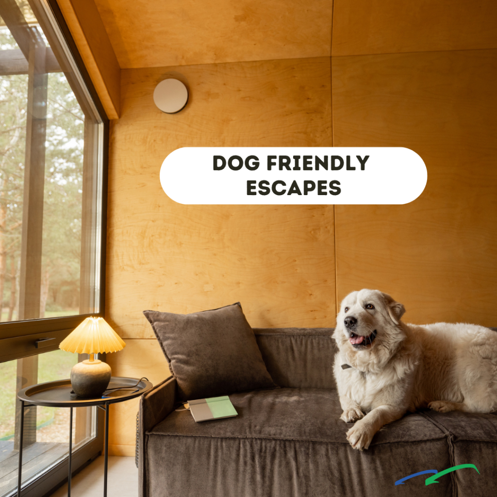 Pet Friendly Blue Ridge Cabin Rentals