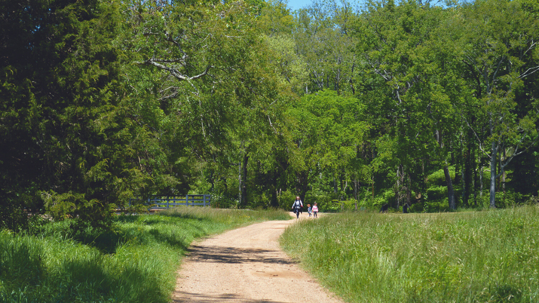 The Grove: Community Parks, Trails & Fishing - Grove Living