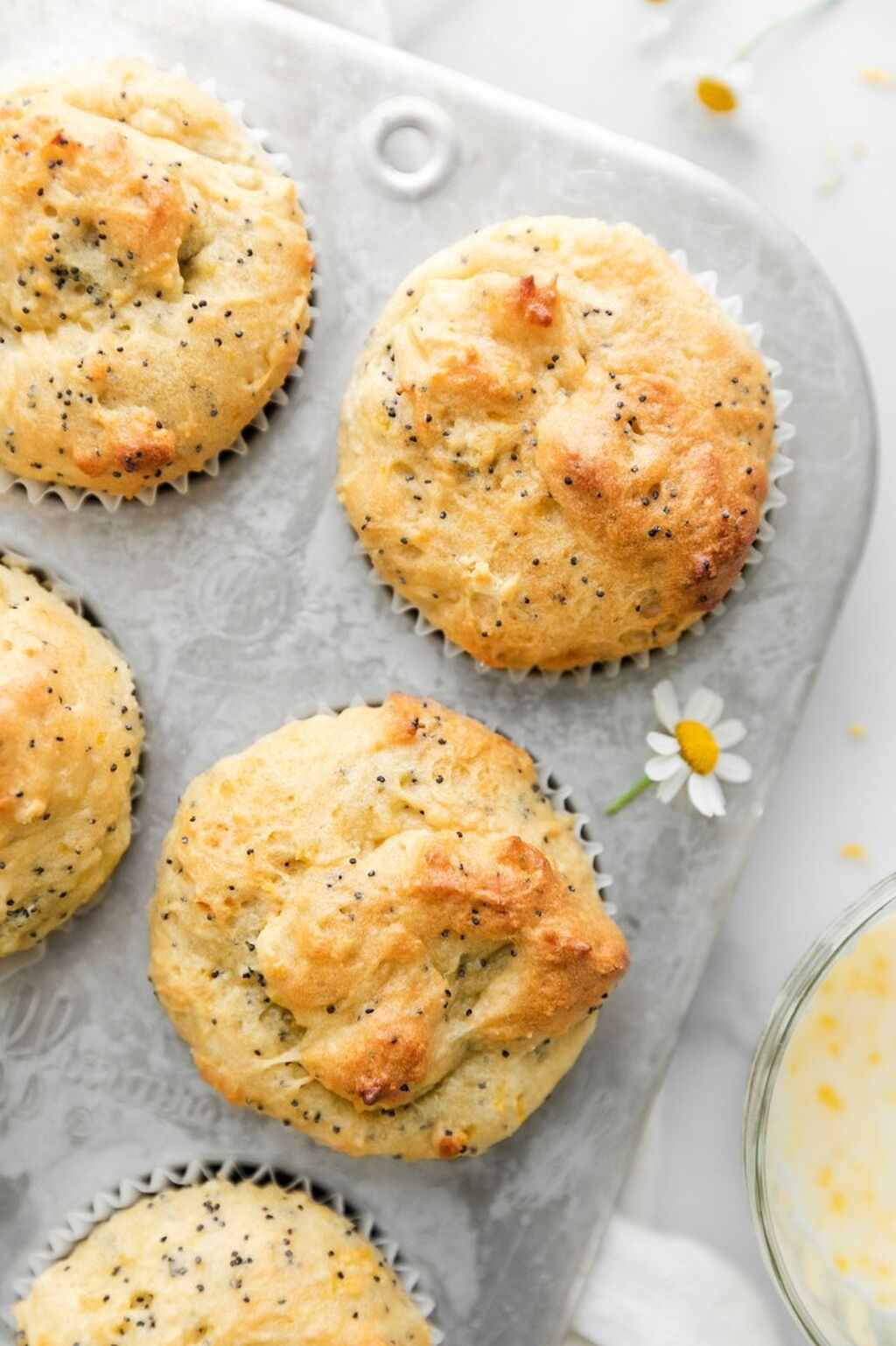 Lemon Poppy Seed Muffins