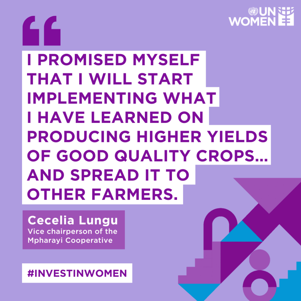 Women farmers in Malawi tackle climate change and gender inequalities through greenhouse programme 