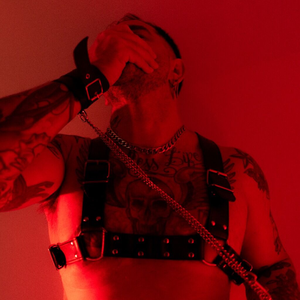 DOMINA KING X