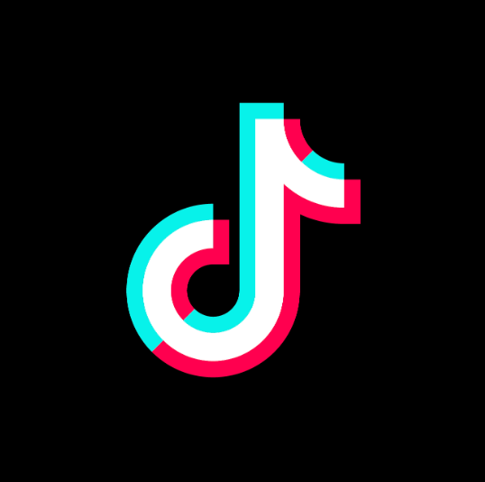 Seguimi su TikTok