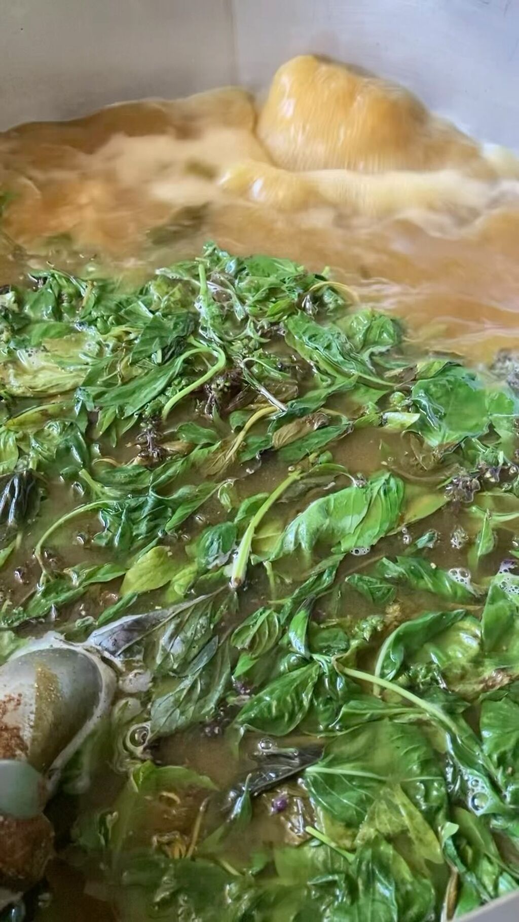 Nuestra cerveza de hierbas G&eacute;nova es elaborada con 3 variedades de albahaca, miel y sorgo, directamente desde jard&iacute;n bot&aacute;nico el Arca.