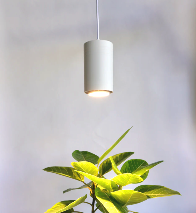 15% off Soltech grow lights