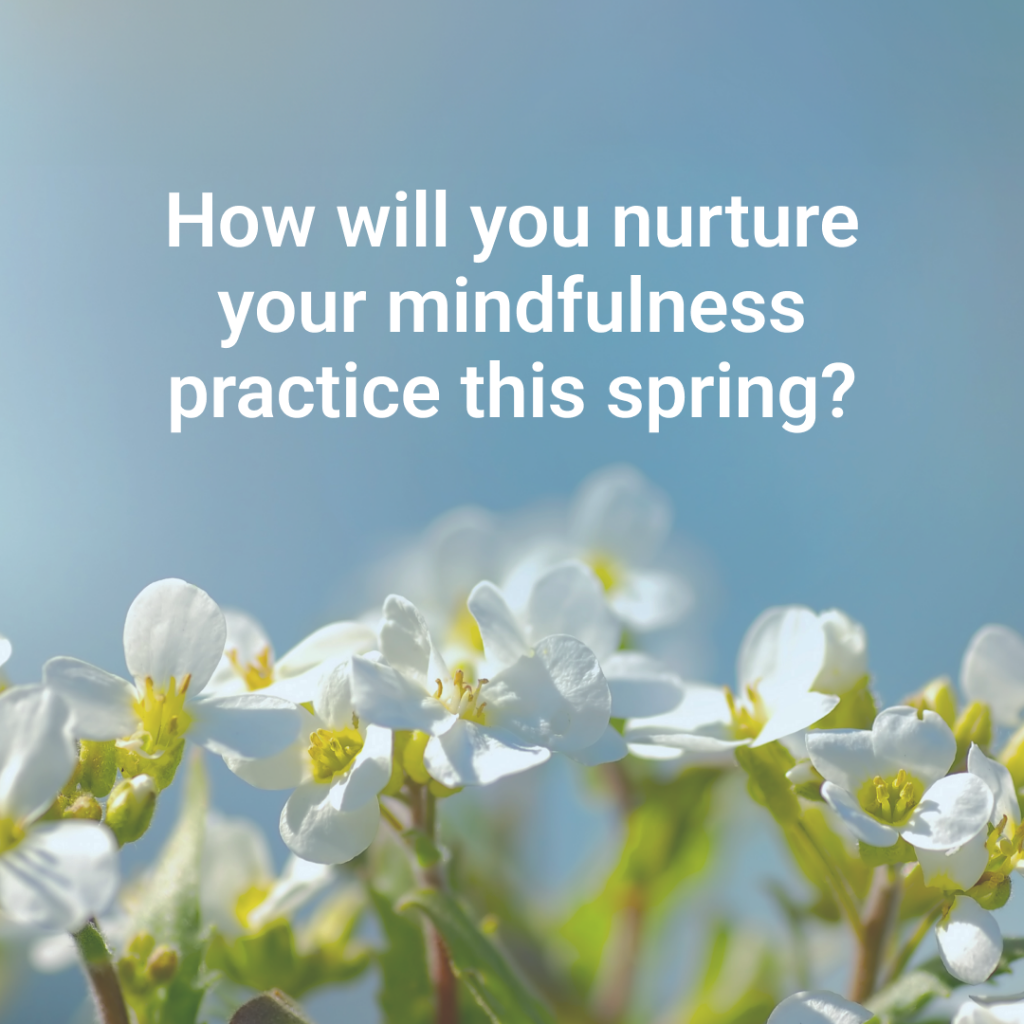 Spring Refresh 2024