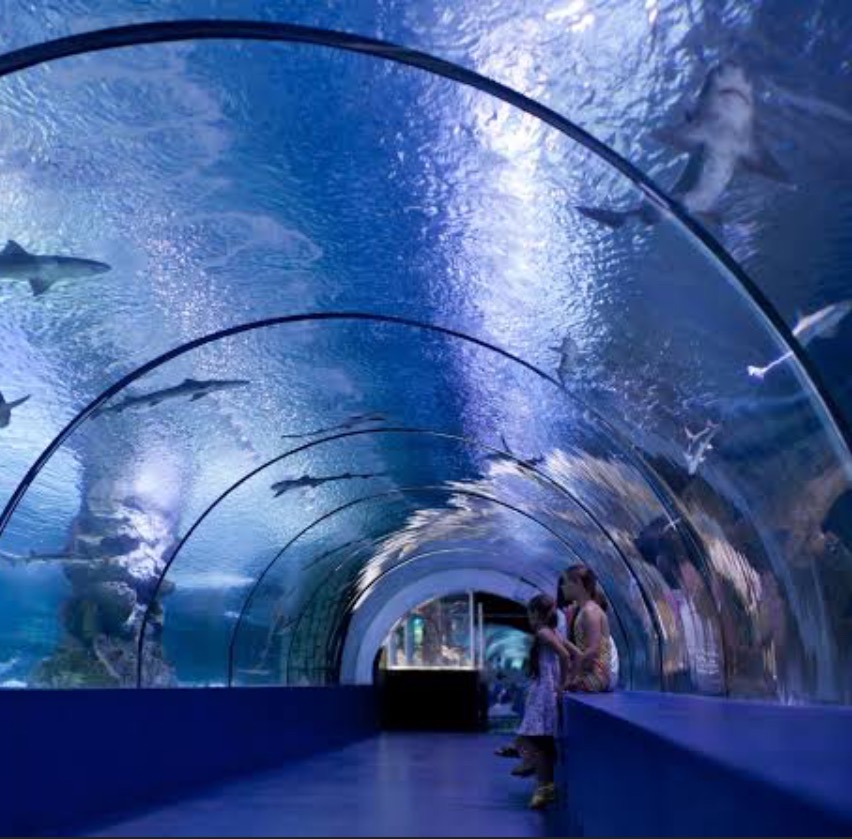 Osaka Aquarium
