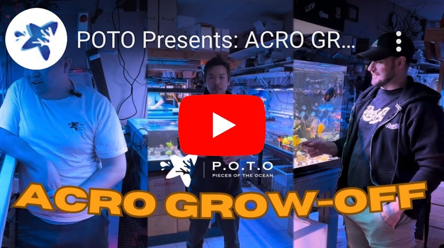 POTO Acro Grow-Off