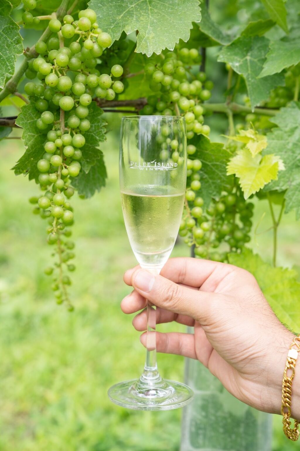 wine-country-ontario/