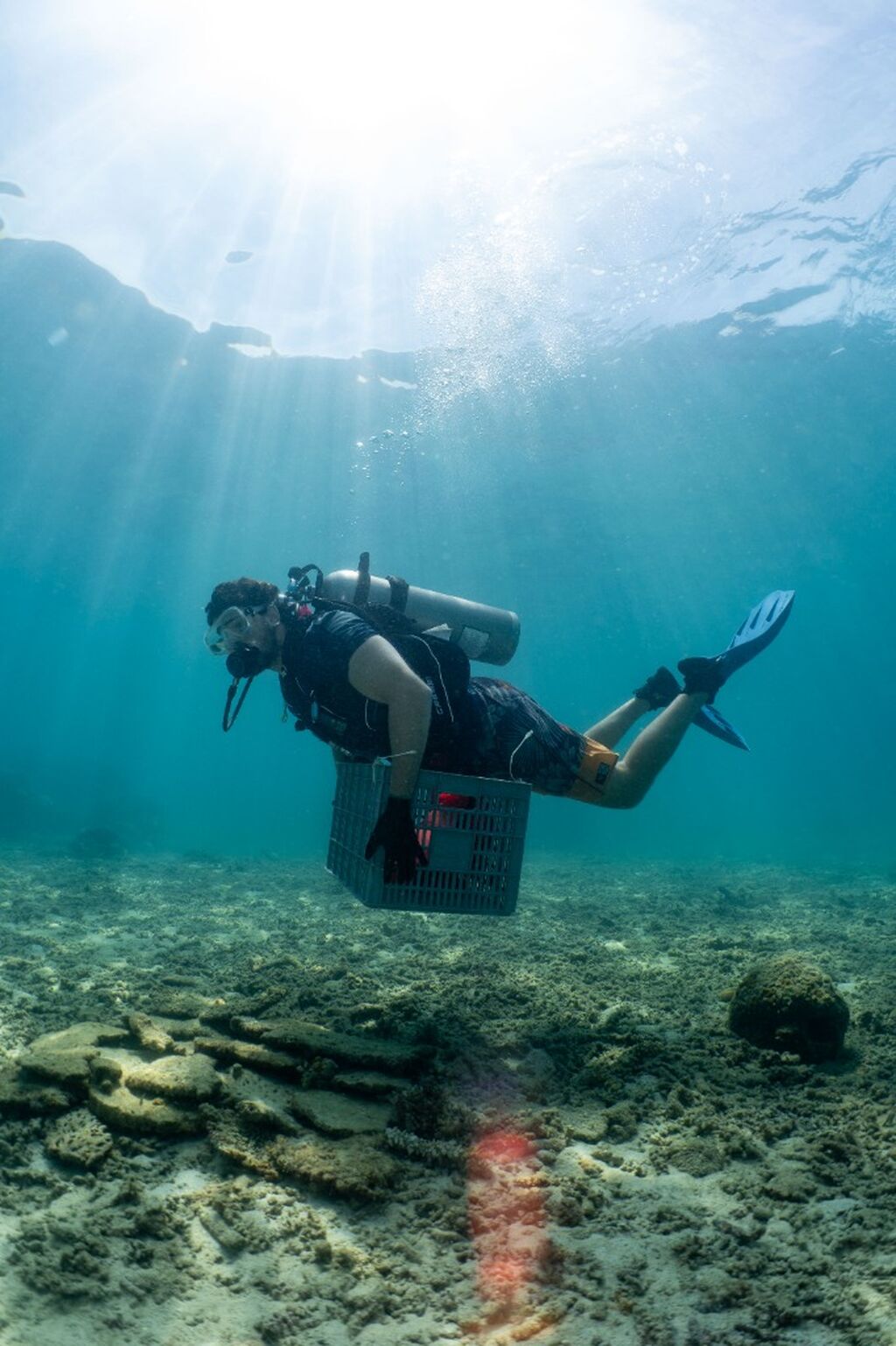 YBD Dive Centre