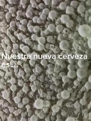 Nuestra nueva cerveza es.... CUCUMI