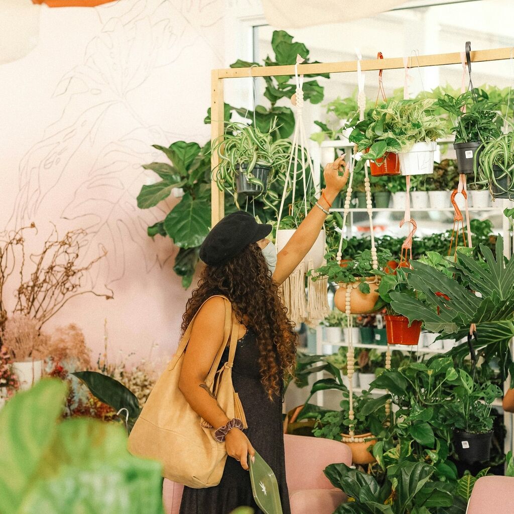 L.APLANTS