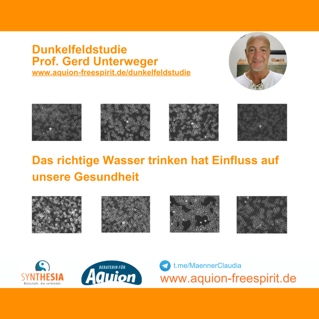 Dunkelfeldstudie - Prof. Gerd Unterweger