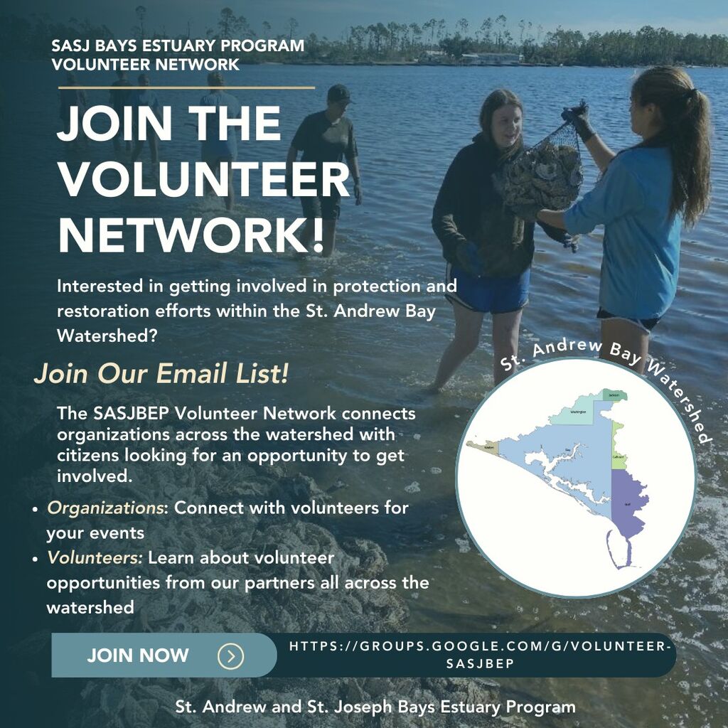 SASJ Bays Volunteer Network