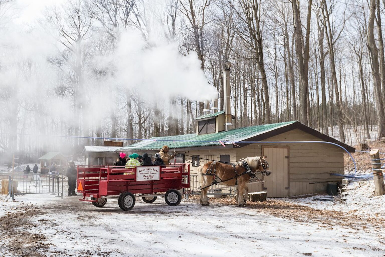 Tap into Maple Fun in Durham Region this Spring | Ontario Culinary